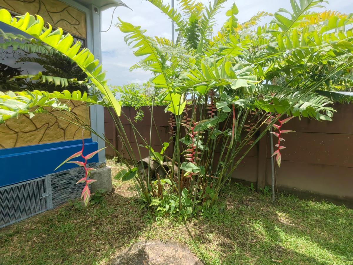 Arenal Homes La Fortuna Exterior photo