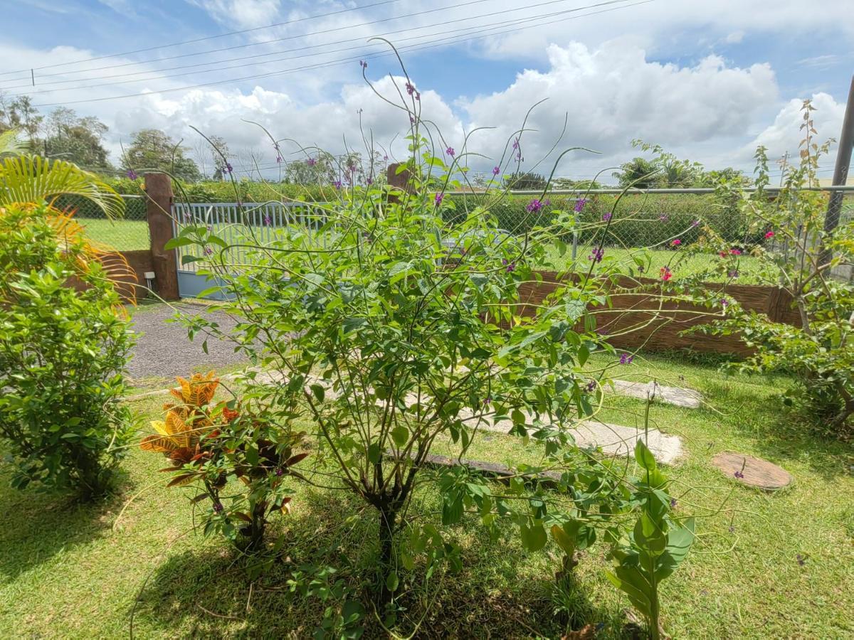 Arenal Homes La Fortuna Exterior photo
